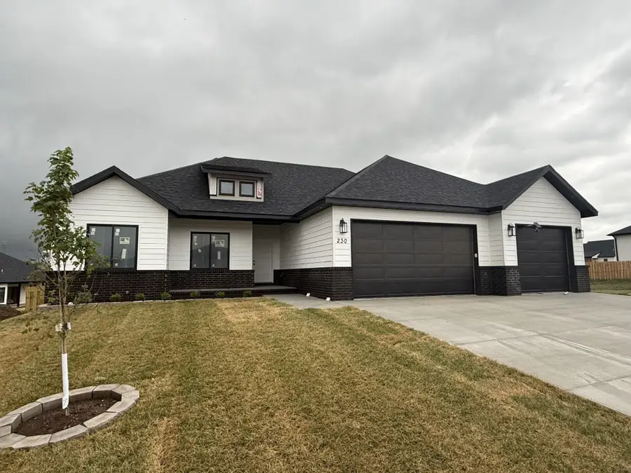 230 Hamilton Street, Rogersville, MO 65742 - #2