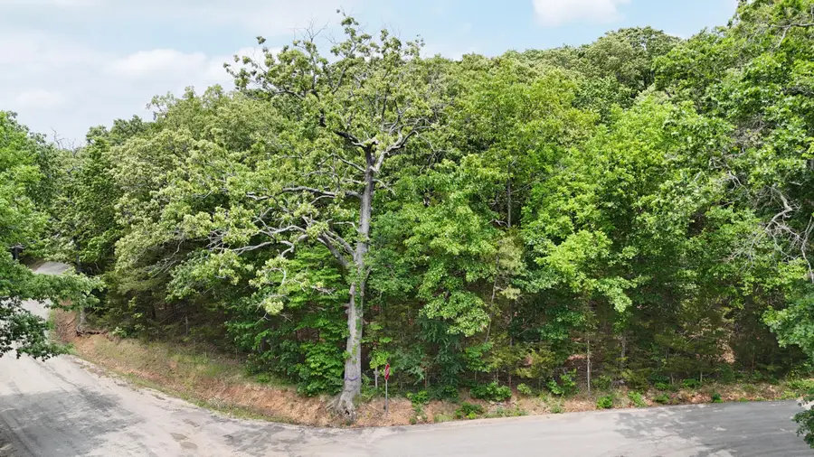 000 N Oasis Road, Blue Eye, MO 65611 - #2