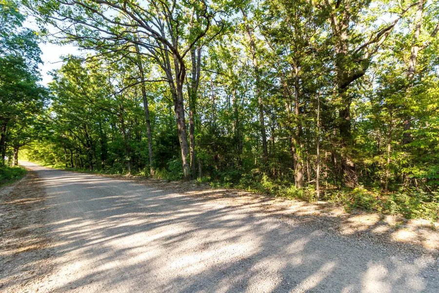 000 Natural Road, Elkland, MO 65644 - #3