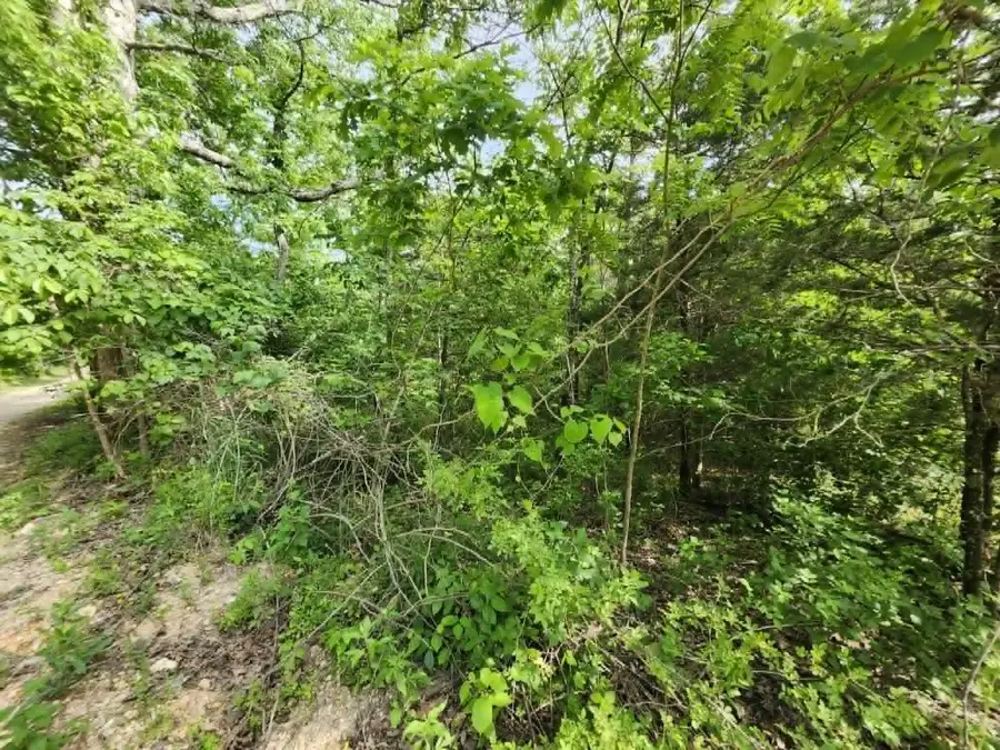 000 Tbd 101-76, Ava, MO 65608 - #3