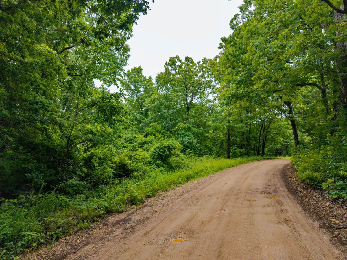 000 Co Rd 521, Hardenville, MO 65666 - #1