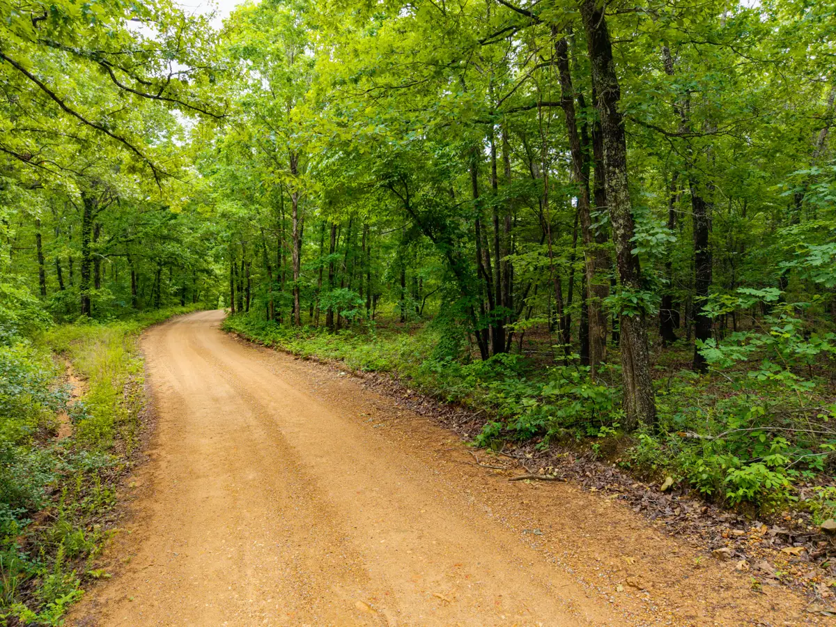 000 Co Rd 519, Hardenville, MO 65666 - #1