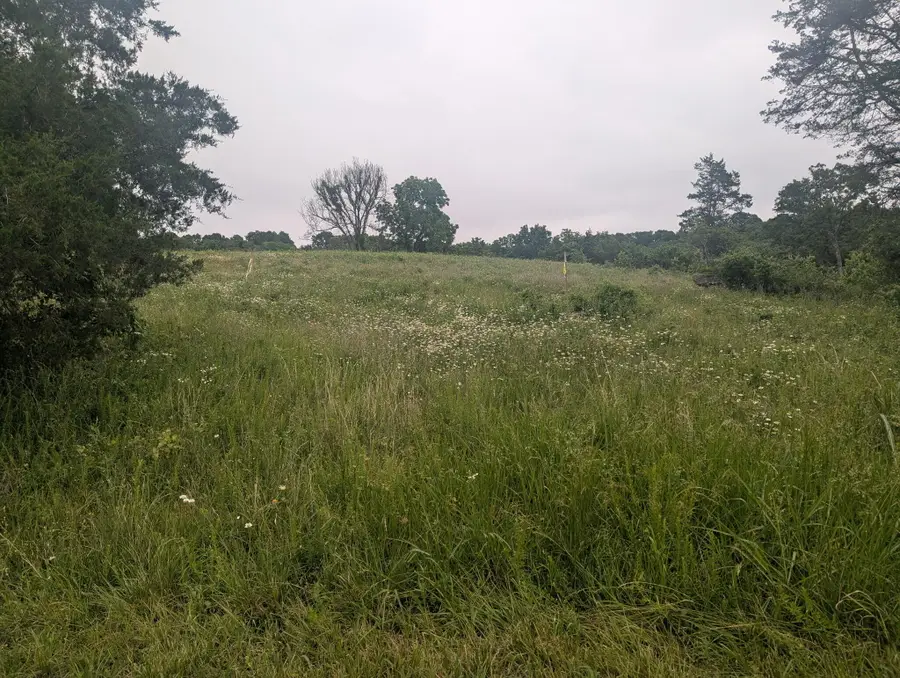 000 Semic Lane, Cape Fair, MO 65624 - #2