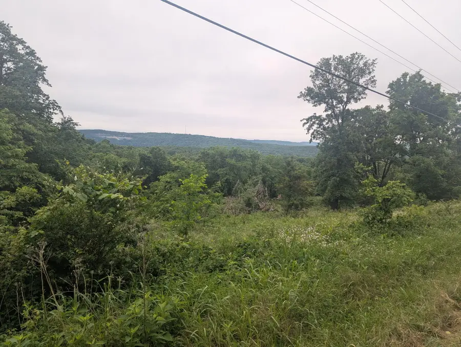 000 Semic Lane, Cape Fair, MO 65624 - #3