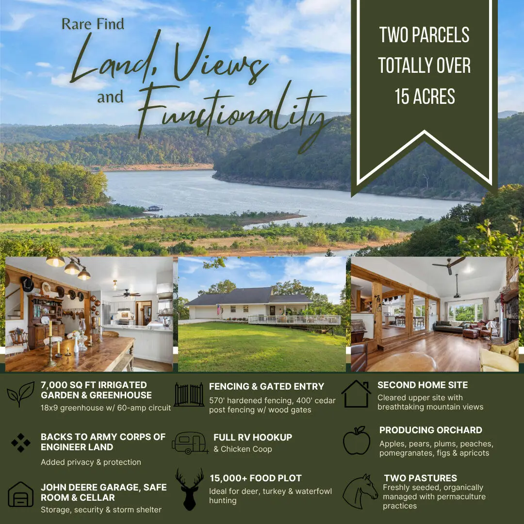 1462/1466 Blackwell Ferry Road, Kirbyville, MO 65679 - #1
