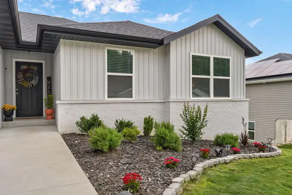 175 Sunrise Villa Drive, Branson, MO 65616