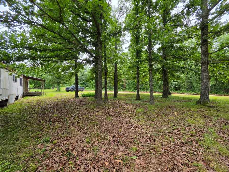 295 Black Oak Road, Mammoth Spring, AR 72554 - #2