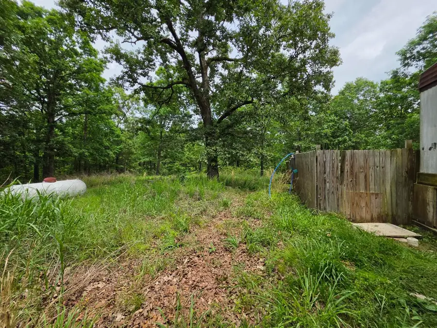 295 Black Oak Road, Mammoth Spring, AR 72554 - #3