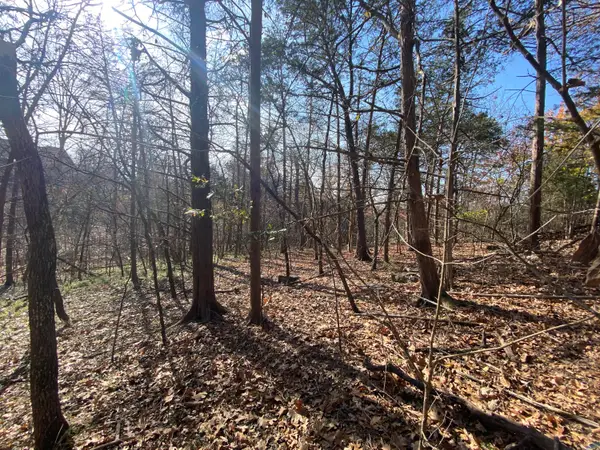000 Seagull Lane, Cape Fair, MO 65624