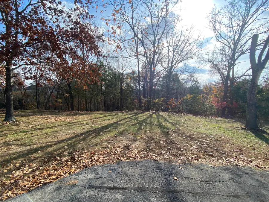 000 Seagull Lane, Cape Fair, MO 65624 - #3