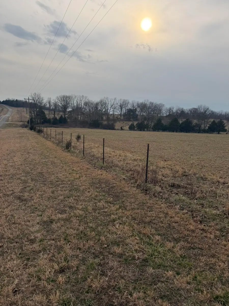 141 County Road 329, Dora, MO 65637 - #2