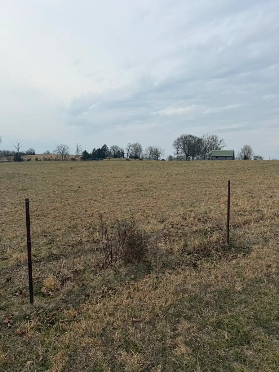 141 County Road 329, Dora, MO 65637 - #3