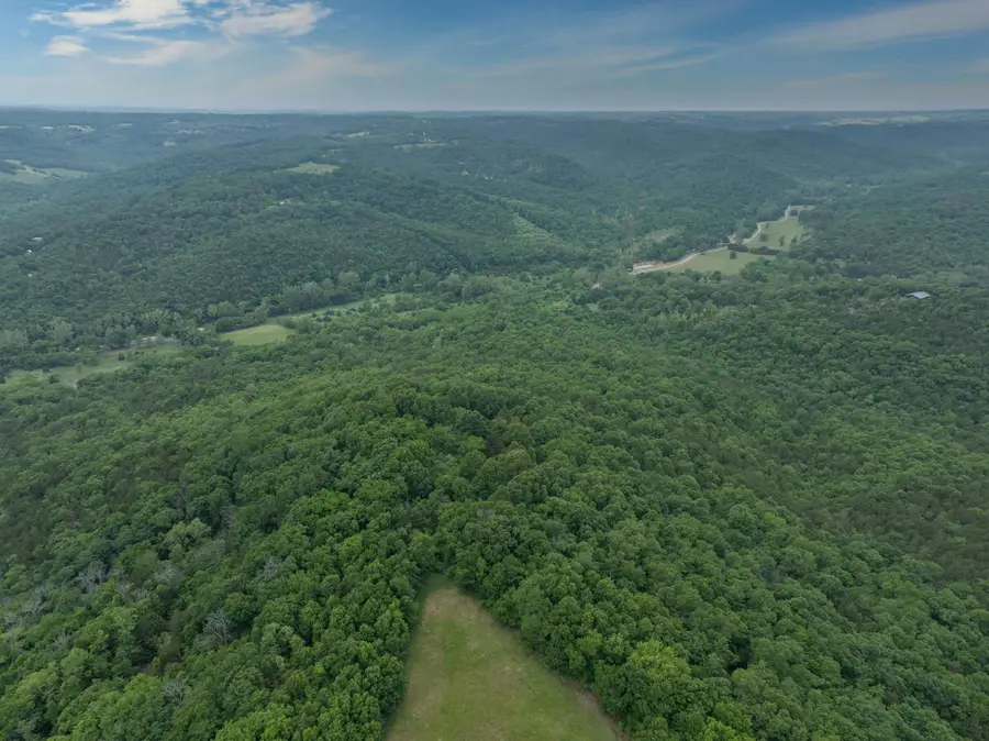 000 Reno Springs Road Tract1 Road, Walnut Shade, MO 65771 - #3
