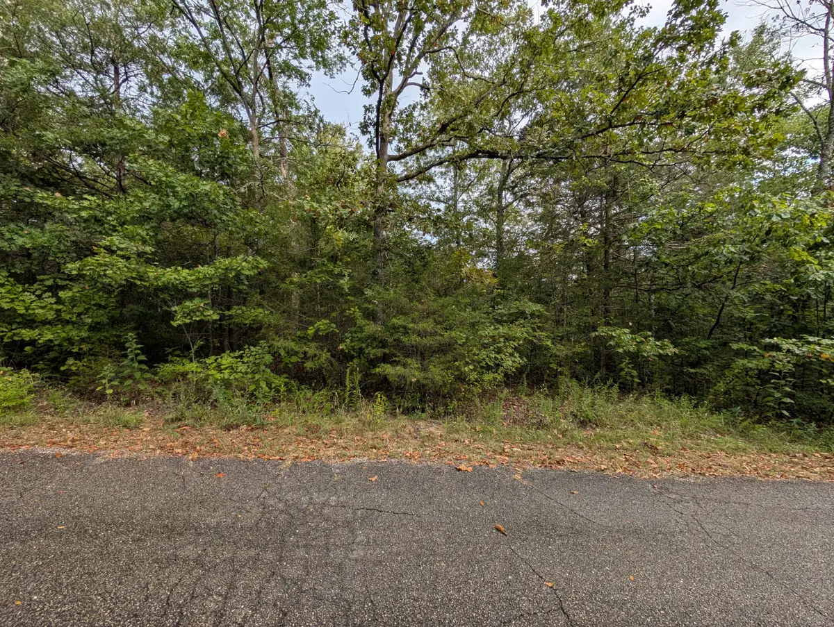 000 N Lot 359 Millstone Street, Shell Knob, MO 65747 - #1