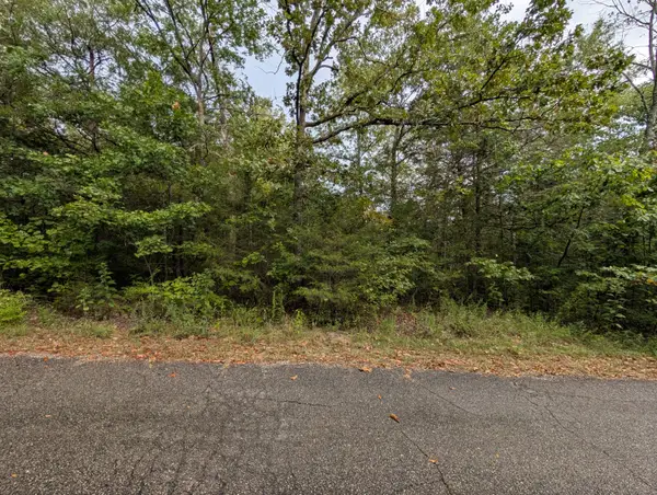 000 N Lot 359 Millstone Street, Shell Knob, MO 65747