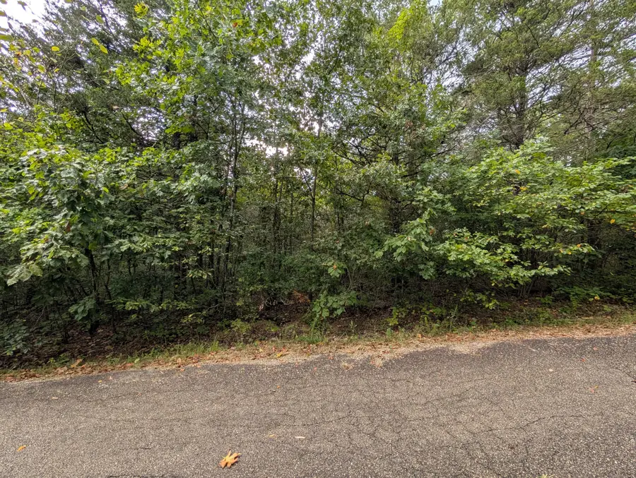000 N Lot 359 Millstone Street, Shell Knob, MO 65747 - #2