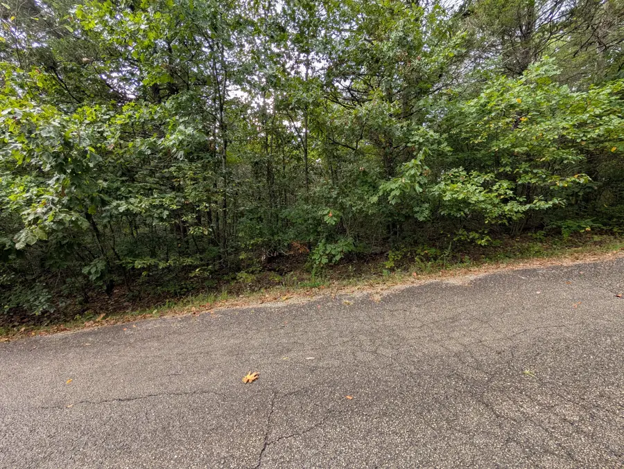 000 N Lot 359 Millstone Street, Shell Knob, MO 65747 - #3