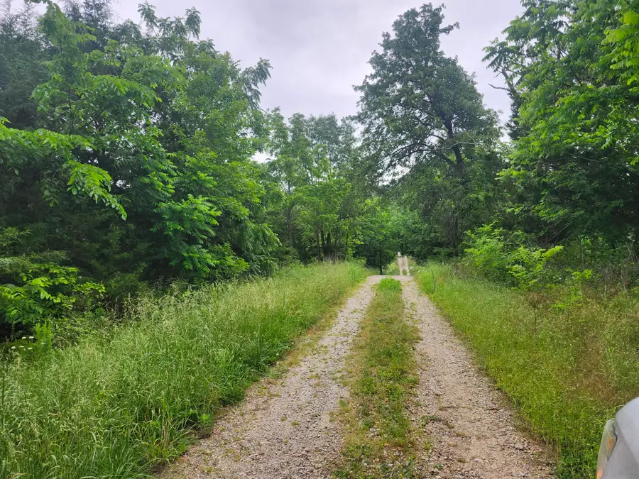 11005 Oak Tree Drive, Mountain Grove, MO 65711 - #3
