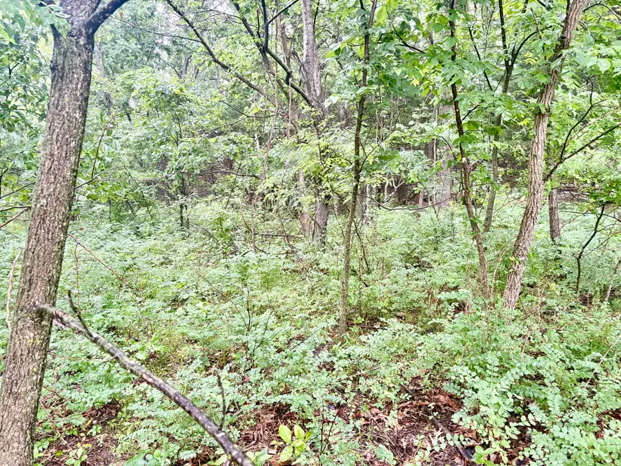 650 Dade 149, Greenfield, MO 65661 - #3