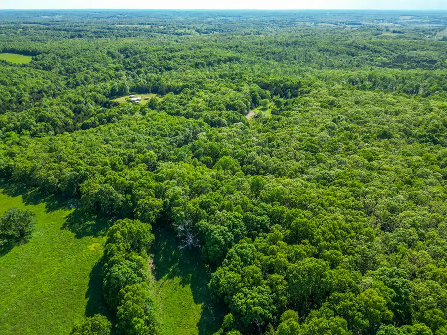 10650 Sunflower Lane, Falcon, MO 65470 - #3
