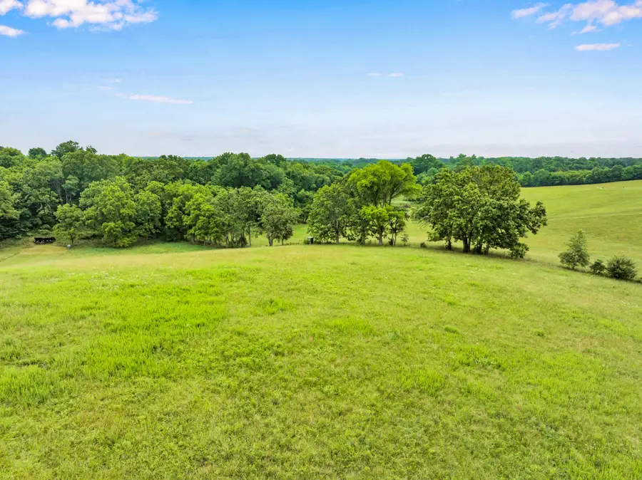 350 Alice Place, Ozark, MO 65721 - #3
