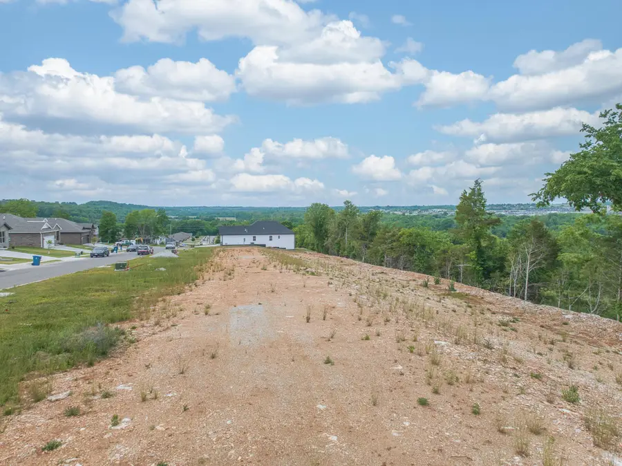 810 Bill Hanks Lane #Lot 78, Ozark, MO 65721 - #2