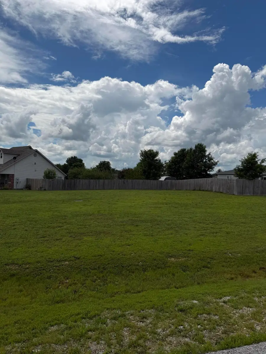 165 Prairie Drive, Branson, MO 65616 - #2