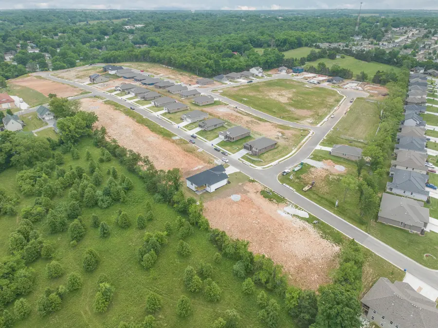 804 Bill Hanks Lane #Lot 75, Ozark, MO 65721 - #3