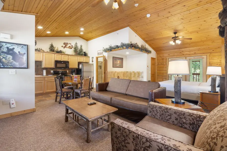 115 Grand Mountain Avenue, Branson, MO 65616 - #2