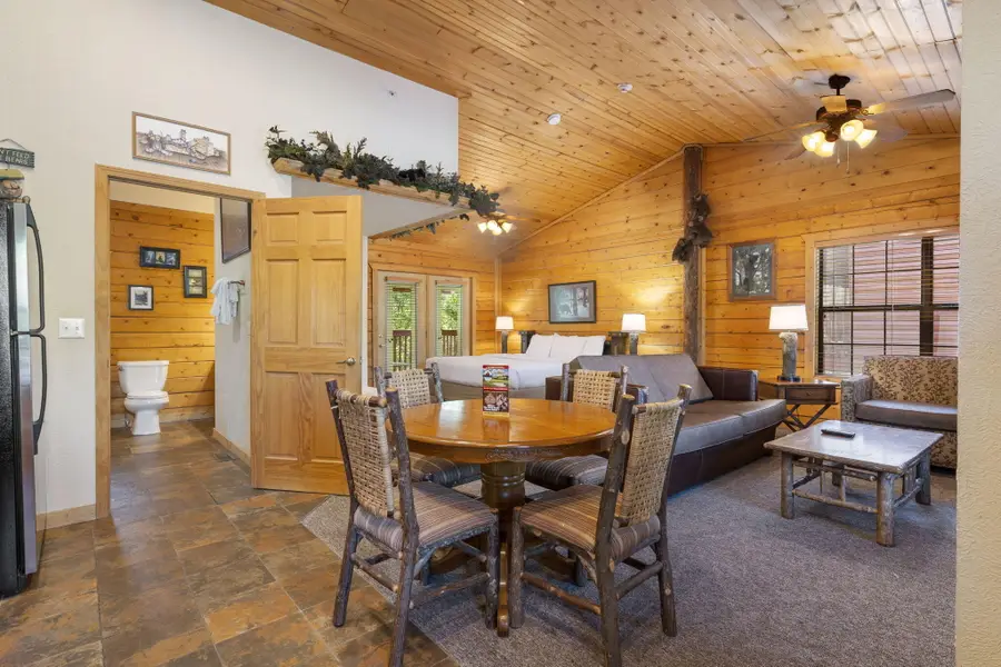 115 Grand Mountain Avenue, Branson, MO 65616 - #3