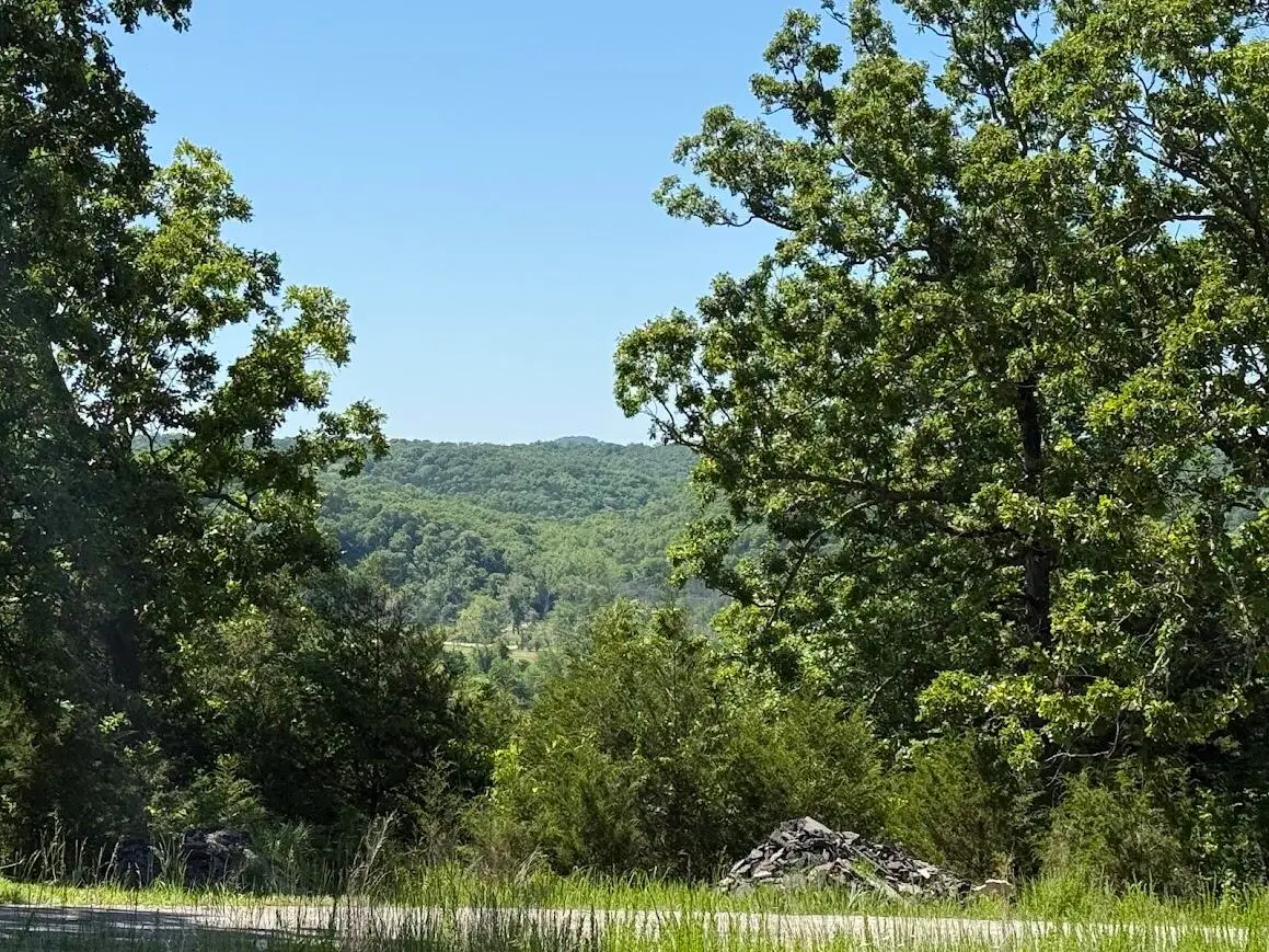 535 Skyline Drive, Forsyth, MO 65653 - #1