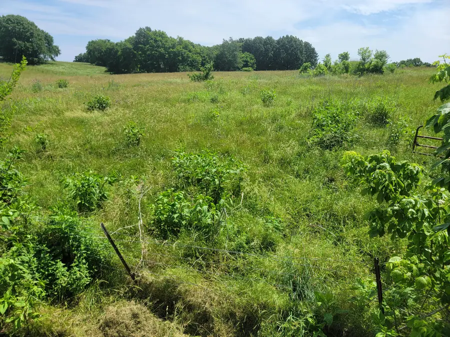 4313 Highway 37, Pierce City, MO 65723 - #2