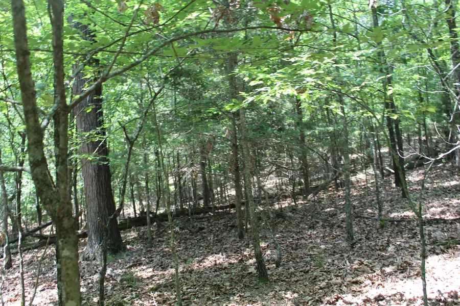 000 Forrest Street #Block 7 Lot 51, Theodosia, MO 65761 - #3