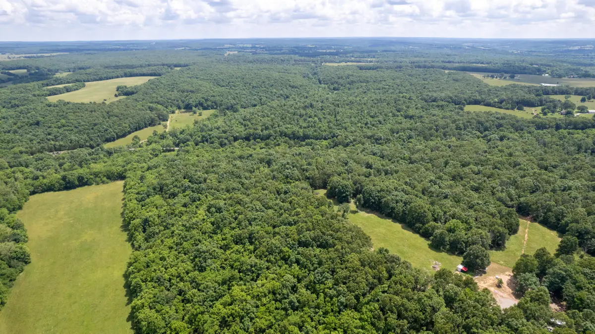 0000 State Highway Mm, Niangua, MO 65713 - #1