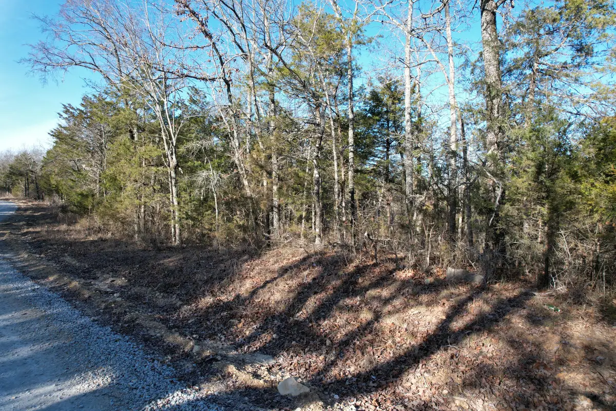 000 County Road 904, Theodosia, MO 65761 - #1