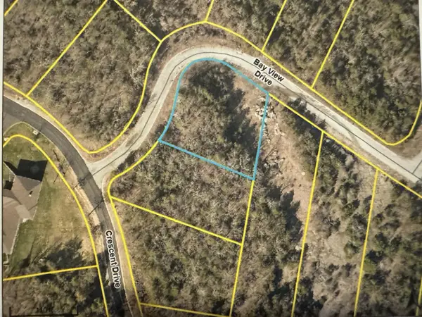 138 Bay View Drive (lot 194), Hollister, MO 65672