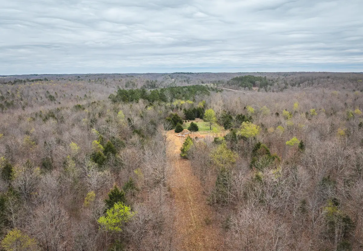 000 County Road 2660, Mountain View, MO 65548 - #1