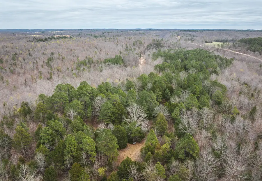 000 County Road 2660, Mountain View, MO 65548 - #2