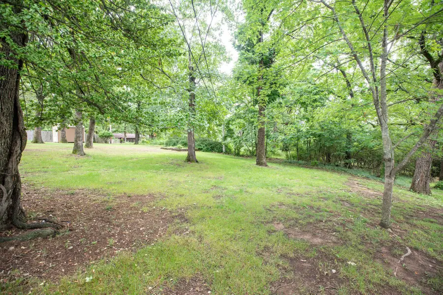 204 Cedar Street, Branson, MO 65616 - #2