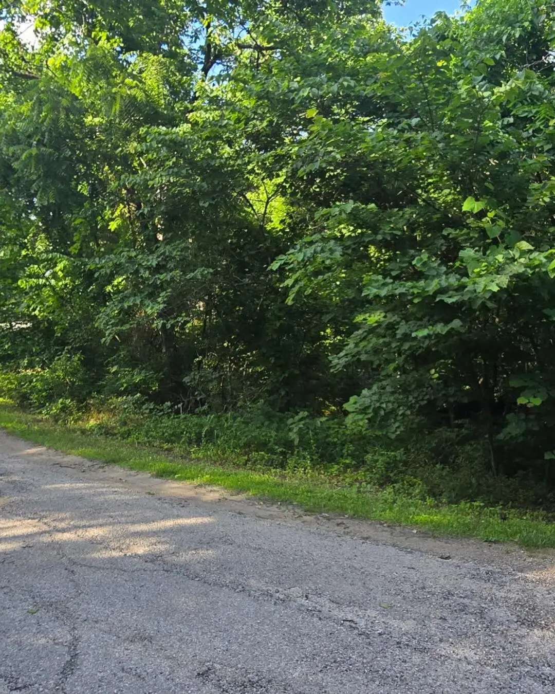 000 Linwood Road, Merriam Woods, MO 65740 - #1