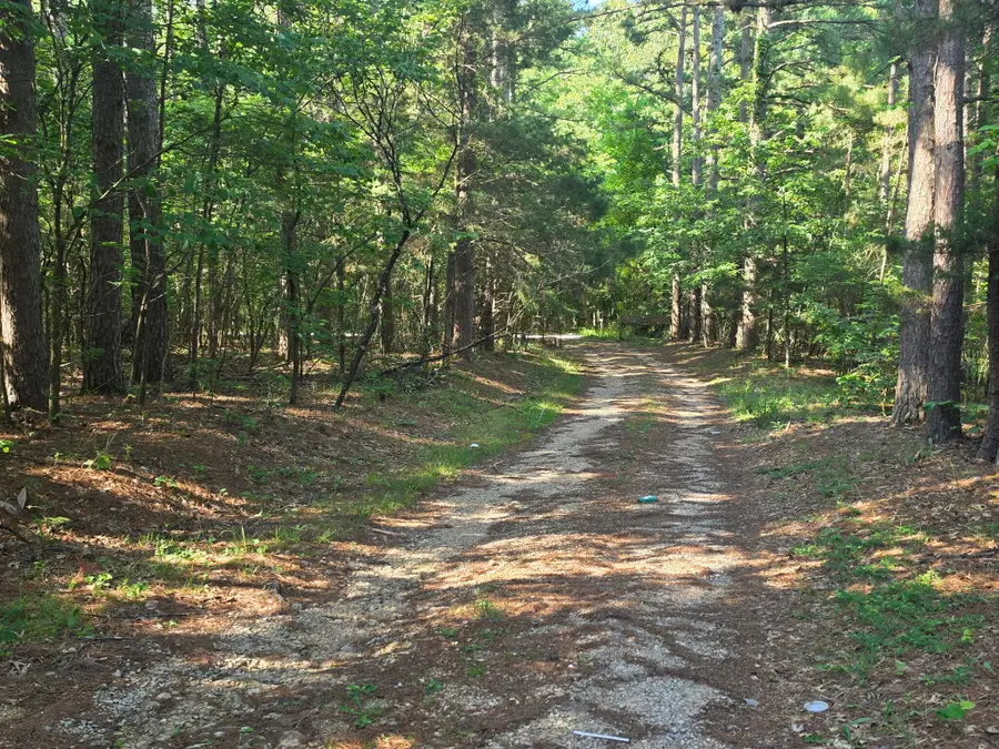 1640 County Road 203, Alton, MO 65606 - #3