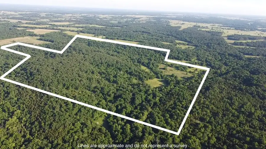 14188 County Road 195, Wheatland, MO 65779 - #2
