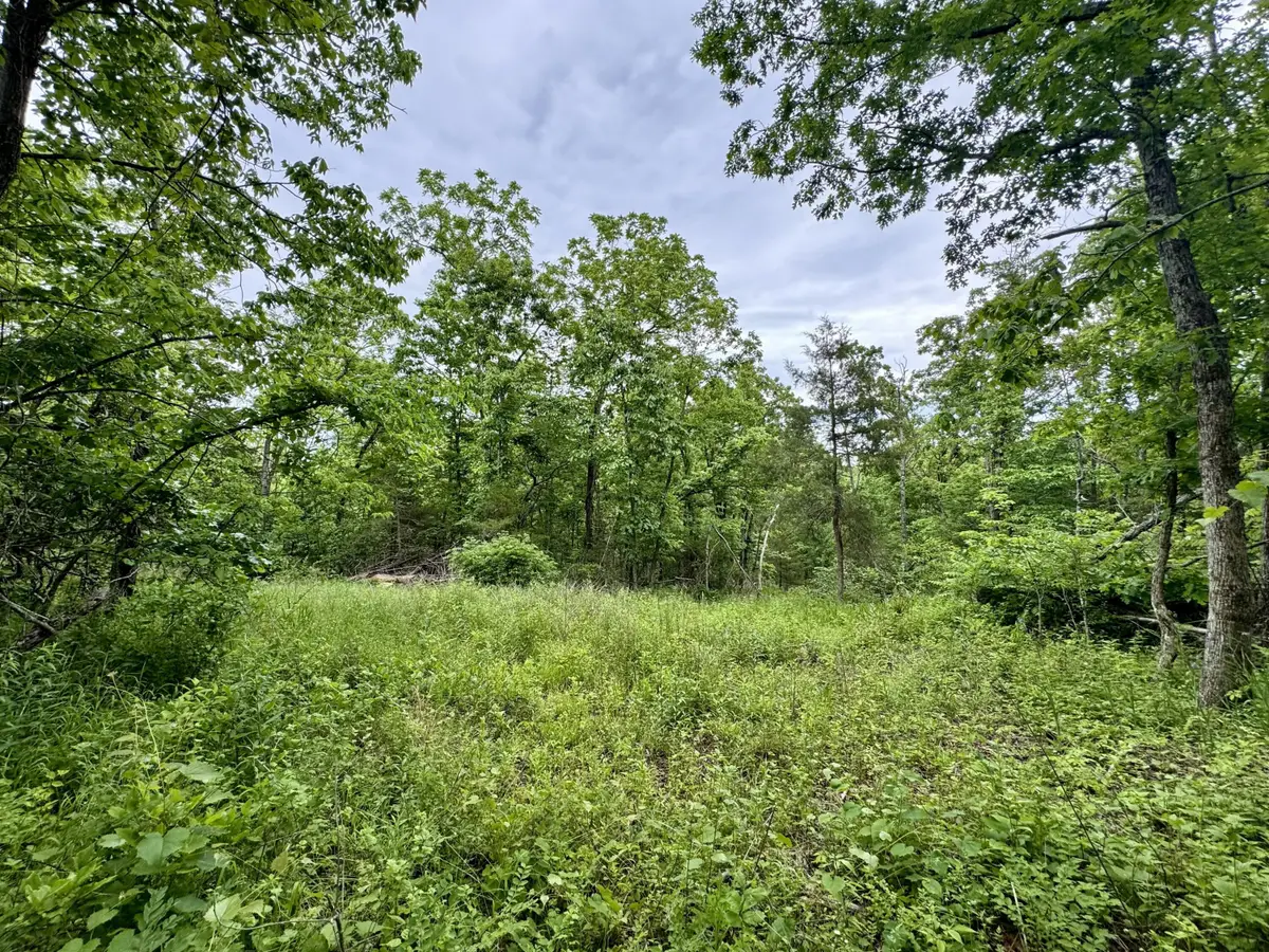 000 Hart Road, Macomb, MO 65702 - #1
