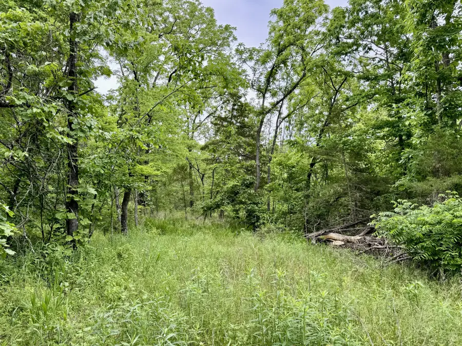 000 Hart Road, Macomb, MO 65702 - #2