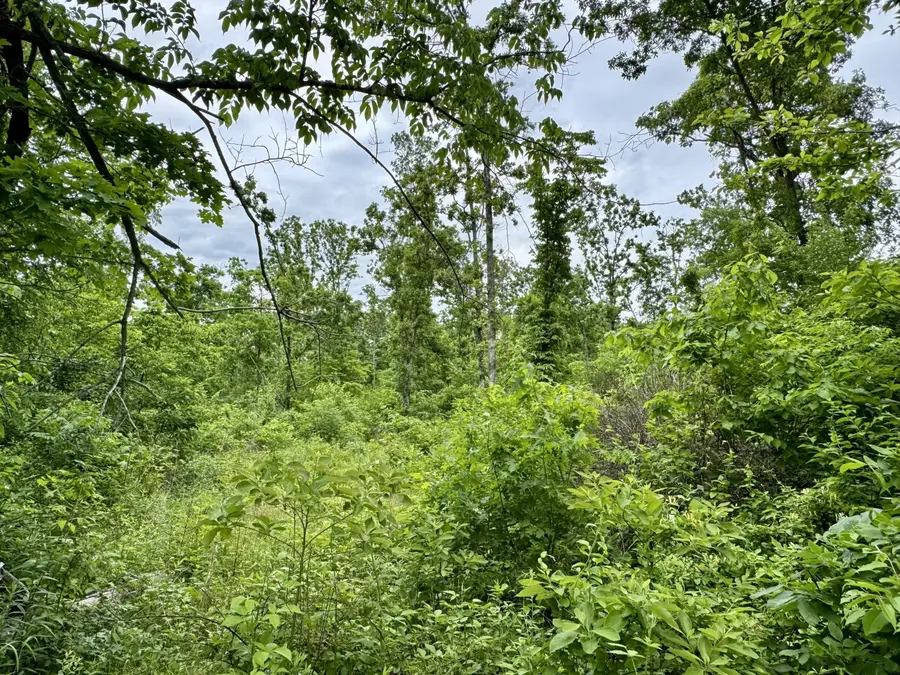 000 Hart Road, Macomb, MO 65702 - #3