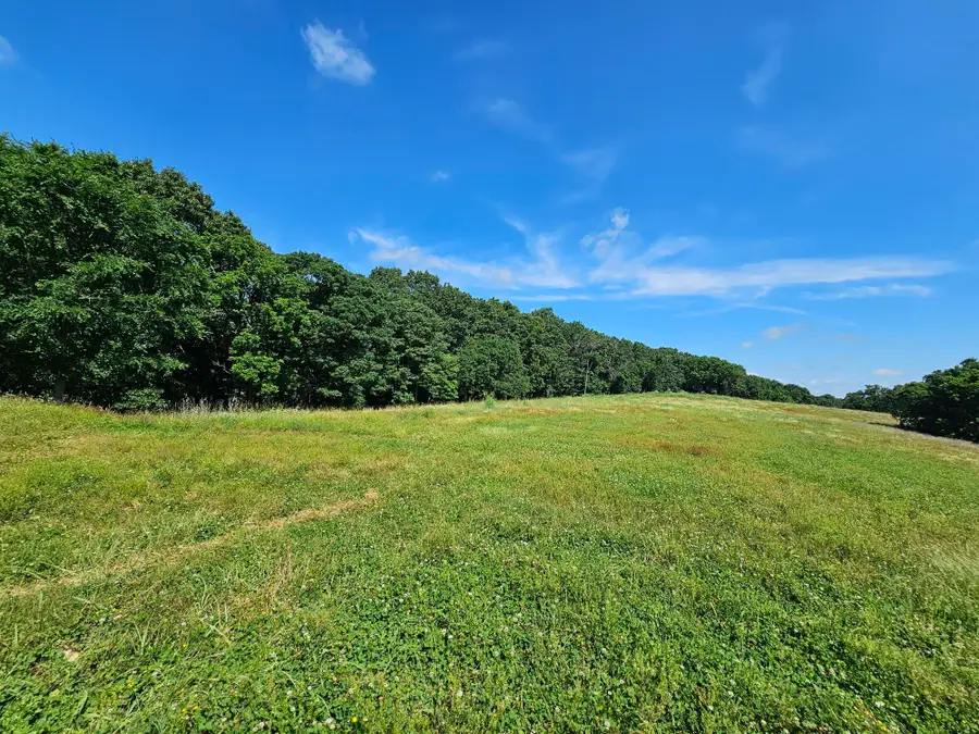 5383 Cowan Ridge Road, Powell, MO 65730 - #2
