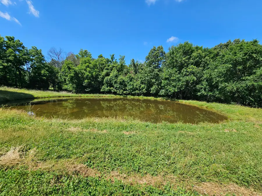 5383 Cowan Ridge Road, Powell, MO 65730 - #3