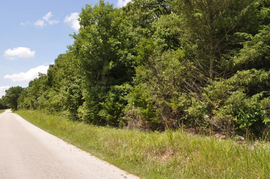 000 E 517th Road, Mooney, MO 65663 - #3