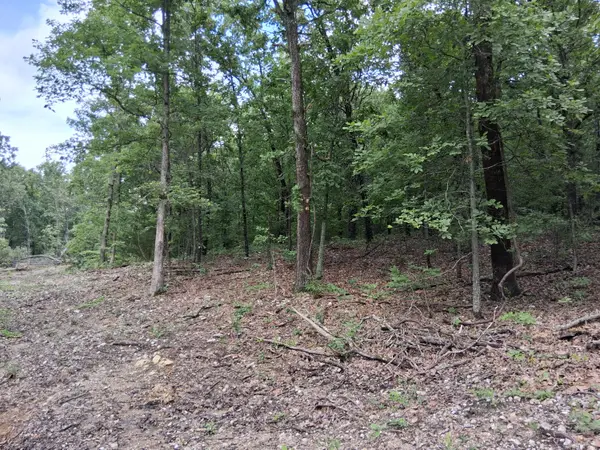 000 County Road 6410, West Plains, MO 65775