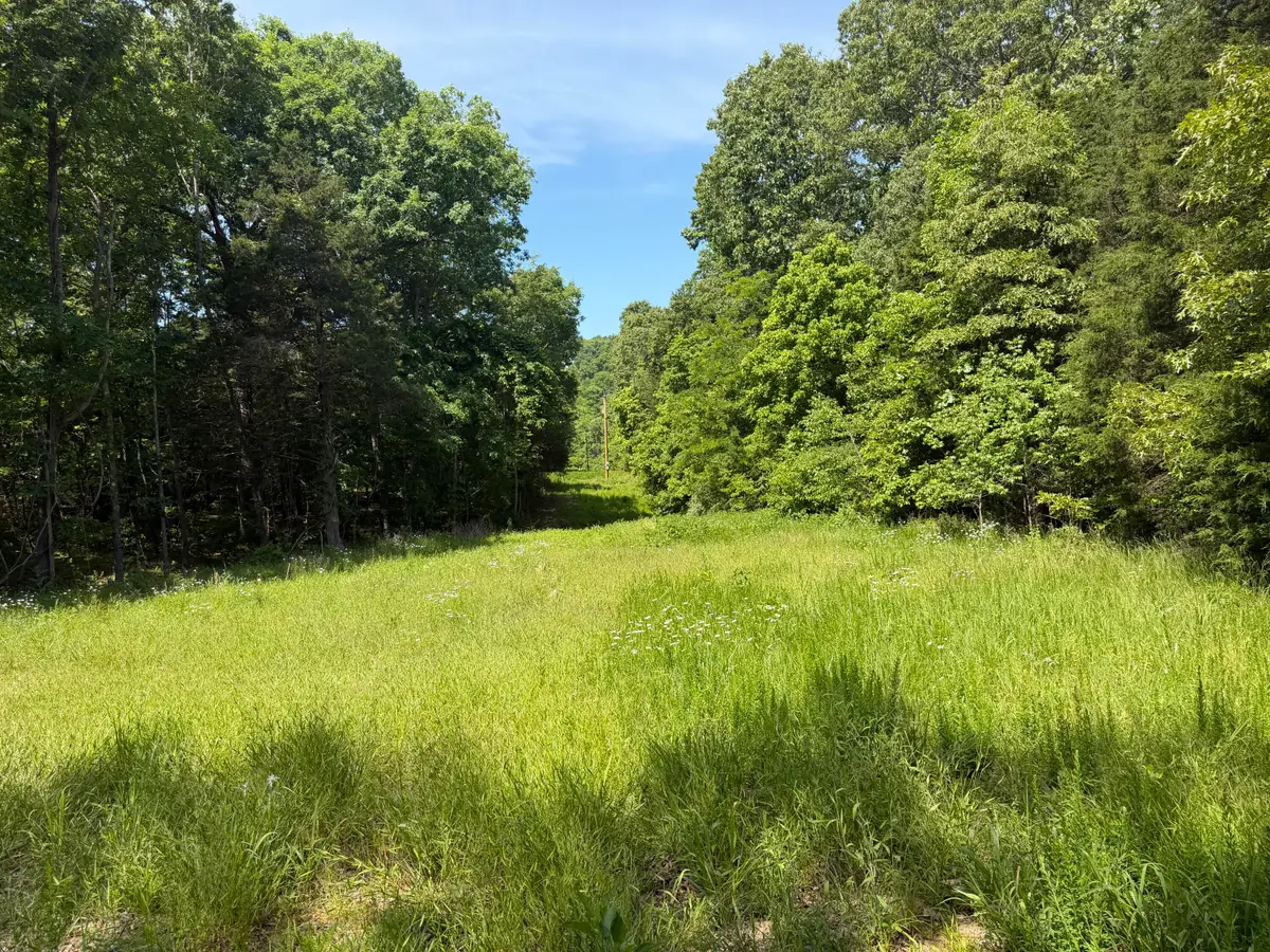 000 County Road 318 #Lot 5, Tecumseh, MO 65760 - #1